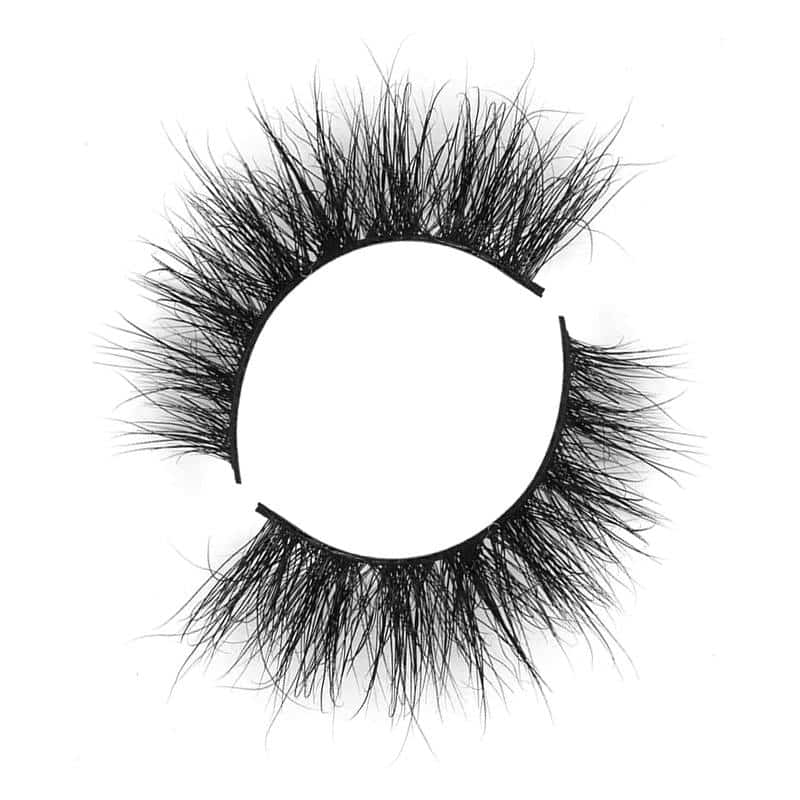 Hollywood Vendors For Eyelashes